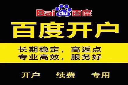 竞价排名案例：快速抢占市场先机
